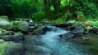 Best River Landscape for Relax, Sleep, Focus or Meditate | sleep - relax - enjoy life - ASMR