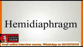 Hemidiaphragm l ssc amc doctor l Army doctor l Capf interview l Interview Guide