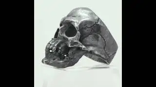 Gothic Crack Skull Ring | Oxidized 925 Sterling Silver
