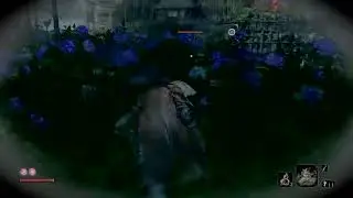 Tenchu 2020?