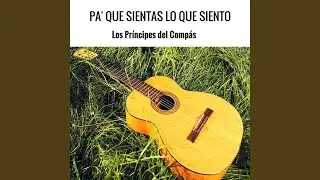 Desorientado