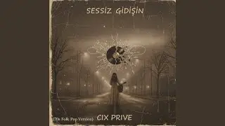 Sessiz Gidişin (70s Folk Pop Version)