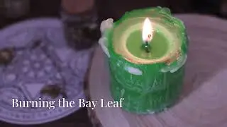 I Discovered the Shocking Truth About Bay Leaf Technique!