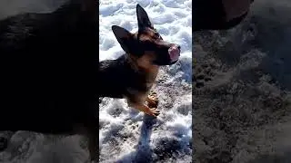 VID 20220321 091533