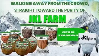 𝗛𝗲&rsquo;𝘀 𝗻𝗼𝘁 𝗹𝗼𝘀𝘁. 𝗛𝗲&rsquo;𝘀 𝗷𝘂𝘀𝘁 𝗽𝗶𝗰𝗸𝘆. #NihilistPenguin #trendingnow  #jklfarm #jkl #FarmPurity #memes