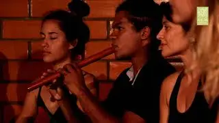 Plantita de Alelí - Huayno tradicional
