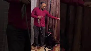 Dog Training : Leash control முதலில் இதை செய்யுங்கள்-  காளியும் நானும்: Dog Trainer Tamil