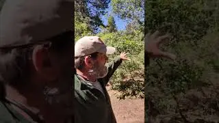 hail storm at camp on a motorcycle | low budget motorcycle camping adventure
