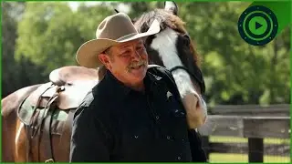 Pat Parelli's Best Horse Training Techniques