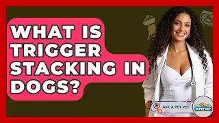 What Is Trigger Stacking In Dogs? - Ask A Pet Vet