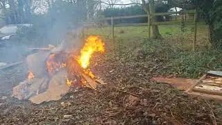 Monday's Operation Phoenix 🐦&zwj;🔥 2 Mischief and Mayhem #koi #koifish #koifarm 