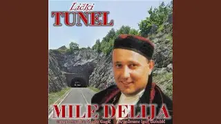 Licki tunel (Mile Delija)