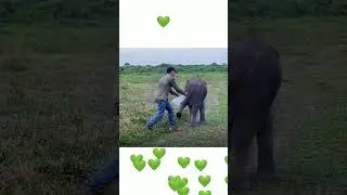 ARMS WIDE OPEN FOR A BABY ELEPHANT HUG 🐘🤍