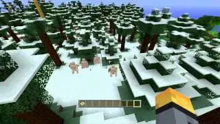 Iron Golem Glitch (Minecraft Xbox 360)