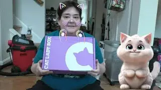 Cat Lady Box (Party Cats) Unboxing July 2025! 😻