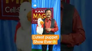 Cutest Puppet Show Ever 🥹🎭#puppetshow  #entertainment #funny #telugumovie