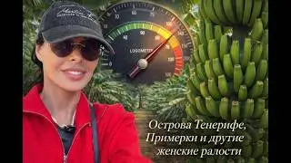 Ла Гомера, примерка, Тенерифе