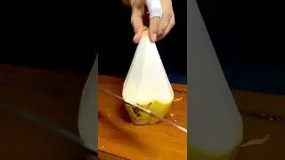 World Record 🏆 Coconut Pencil Pyramid Craft #fruit #coconut #cuttingskills #asmr #craft #shorts