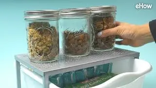 How to Keep Bugs Out of Your Pantry and Kitchen