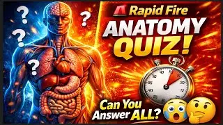 🚨 Rapid Fire Anatomy Quiz! Can YOU Answer ALL Human Body Questions? Let&rsquo;s Find Who&rsquo;s that genius 