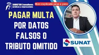 Como pagar Multas por Datos Falsos o Tributo Omitido | SUNAT 2024 | Bien explicado