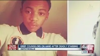 Grief counselors at Zephyrhills High School following stabbing death of student