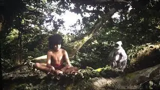 Scene For 
