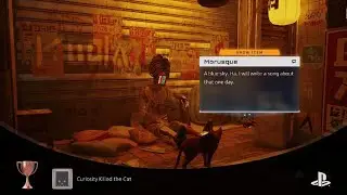Stray_20251111185527