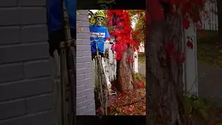 Halloween Skeletons on Display in Harbor Springs, Michigan | 2025
