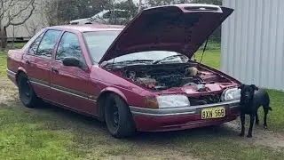 Replacing the timing cover gasket on my eb falcon