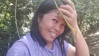 marife found a special tree and picks some tropical fruit 