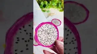 Dried Fruits Slices For Resin DIY Home