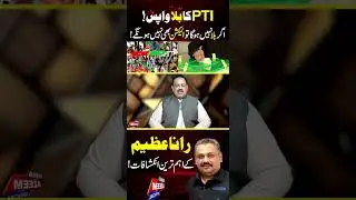 PTI Bat Symbol Return? | Peshawar High Court Decision #imrankhan #supremecourt #pti #ptiofficial