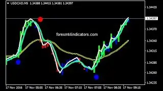 Neuro Impulse Forex Binary Options Trading Strategy