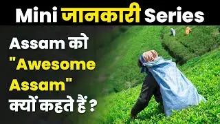 Amazing Facts About Assam in Hindi | 10 Things Assam is Famous For | Assam Tea