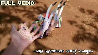 Guy's നിങ്ങൾ പറഞ്ഞ 🐮കാളയുടെ full vidio |ഇത് കണ്ട് കാള ഉണ്ടാകാം😍 👍🏻|explore my കാള 😄|