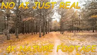 Welcome to Daily Trail View