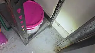 Ant Control Castle Hill Video