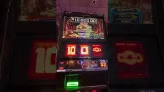 This Lucky Golden Toad we found is like a Cash Machine with multipliers! #gambling #slots #casino