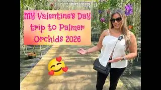 My Valentine's Day trip to Palmer Orchids 2026
