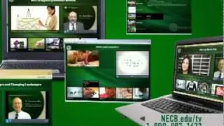 NECB Undergrad and MBA 30secTV spot