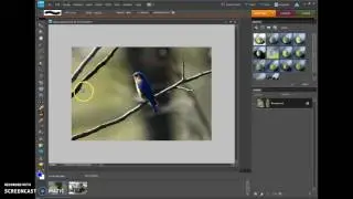 Photoshop Elements Clone Stamp Tool demonstration
