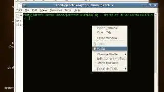 Wireless WEP Key Hacking