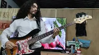 Lifelover - M/s salmonella Bass Cover