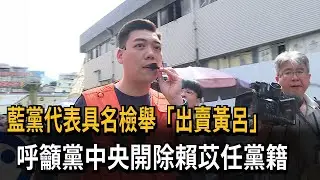 藍黨代表具名檢舉「出賣黃呂」　呼籲黨中央開除賴苡任黨籍－民視新聞