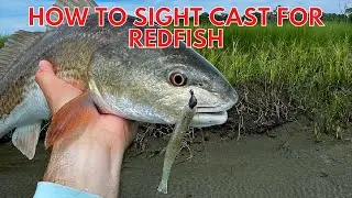 How To Sight Cast For Redfish (Or Any Inshore Species!!!)