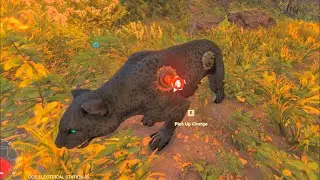 Far Cry 6 Stealth Kills: Silent Knife Elimination and Explosive Tiger Attack!