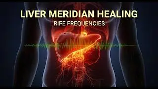 Liver Meridian Healing | Unblock & Activate with Rife Frequencies & Binaural Beats