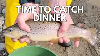 Southern Tier's Trout Season Kicks Off, DEC Stocks Rivers With 300+ Fish