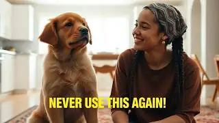 Stop Indoor Dog Accidents - The Ultimate Guide